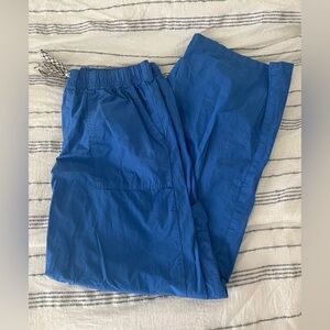 Aerie Blue Cargo Pants